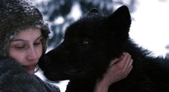 法国电影狼在线观看,法国惊悚电影，在线惊悚体验