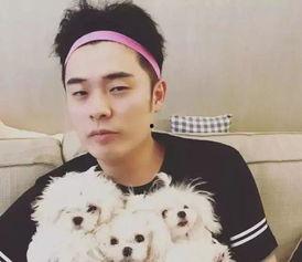 赵磊新综艺爆料了吗视频,精彩瞬间抢先看