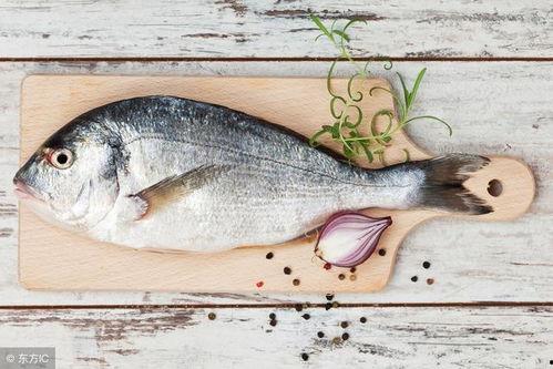 网红吃八瓜鱼视频,口感独特引网友热议! 第3张 网红吃八瓜鱼视频,口感独特引网友热议! 第3张