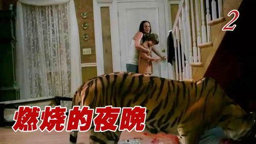 猛虎之家在线观看,在线观看揭秘惊悚悬疑背后的真实故事 第1张 猛虎之家在线观看,在线观看揭秘惊悚悬疑背后的真实故事 第1张